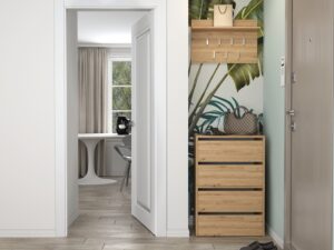 Szafka na obuwie MODO X2 ARTISAN - obrazek 3